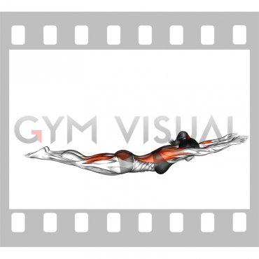 Swimmer (female)
