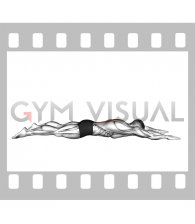 Prone Back Extension with Arms Overhead