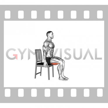 Seated Self Assisted Knee Bend Flexion