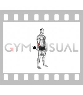 Standing Wrist Radial Deviation with an Asymmetrically Weighted Bar