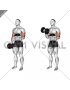 Dumbbell Single Arm Curl with Isometric Hold