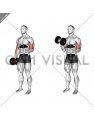 Dumbbell Single Arm Curl with Isometric Hold
