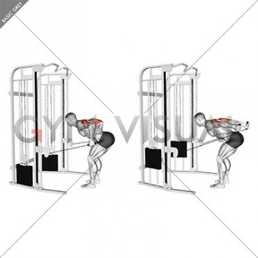 Cable Two Arm Tricep Kickback