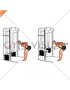 Cable Two Arm Tricep Kickback