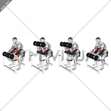 Dumbbell Zottman Preacher Curl