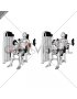 Lever Biceps Curl