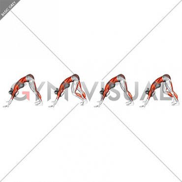 Alternating Leg Downward Dog (female)