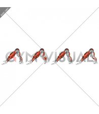 Alternating Leg Downward Dog (male)