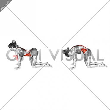 Cat Cow Stretch (female)