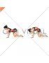 Cat Cow Stretch (female)