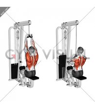 Cable Lateral Pulldown with Mag Grip