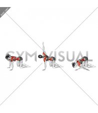 Kneeling Rotation Torso Rear Fly to Thread Through (female)