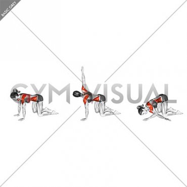 Kneeling Rotation Torso Rear Fly to Thread Through (female)