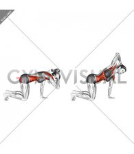 Kneeling Thoracic Rotation (female)