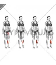Standing Ankle Circles (VERSION 2) (female)
