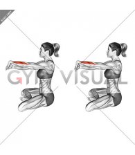 Seated Wrist Extensors Stretch (female)