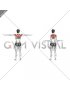 Mid Back Elbow Squeeze (female)