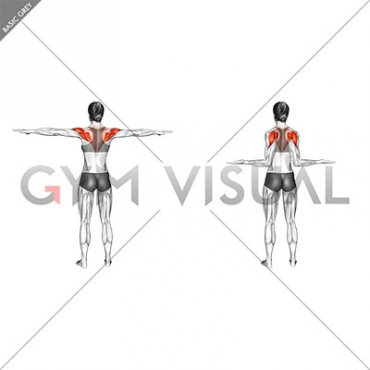 Mid Back Elbow Squeeze (female)