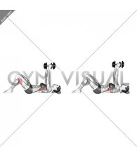 Dumbbell Lying Straight Arm Press on Floor (female)