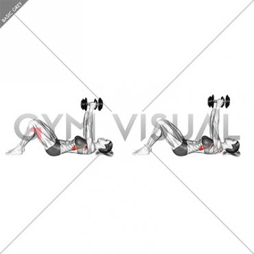 Dumbbell Lying Straight Arm Press on Floor (female)