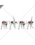 Wide Stance Thoracic Rotation (male)