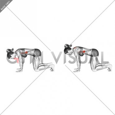 Kneeling Scapular Push-up (female)