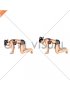 Kneeling Scapular Push-up (female)