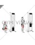 Cable Zercher Squat (male)