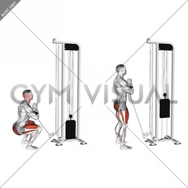 Cable Zercher Squat (male)