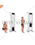Cable Zercher Squat (male)