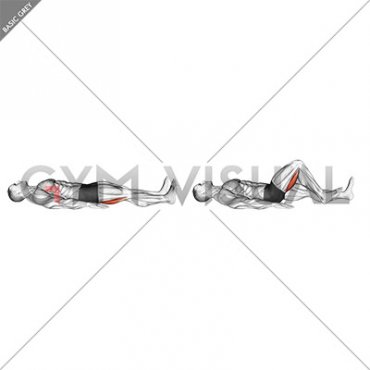 Lying Supine Heel Slide (male)