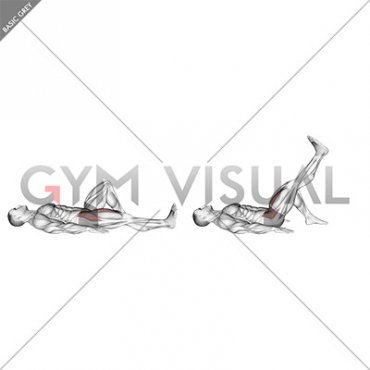 Lying Supine Straight Knee Raise (male)
