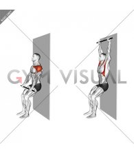 Stick Assisted Standing Shoulder Flexion (male)