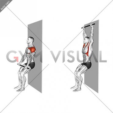 Stick Assisted Standing Shoulder Flexion (male)