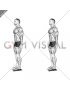 Standing Towel Foot Crunch (male)