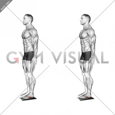Standing Towel Foot Crunch (male)