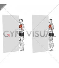 Standing Isometric Shoulder Internal Rotation against Wall (male)