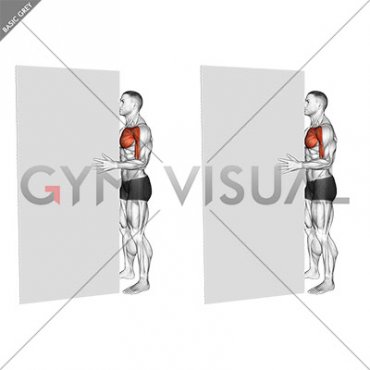 Standing Isometric Shoulder Internal Rotation against Wall (male)