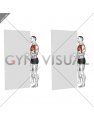 Standing Isometric Shoulder Internal Rotation against Wall (male)