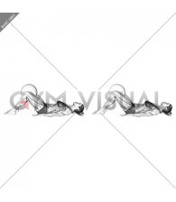 Ball Assisted Lying Bent Knee Isometric Hip Adduction (female)