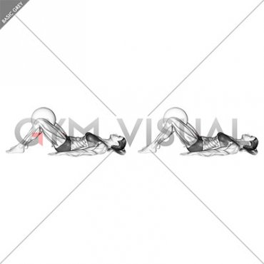 Ball Assisted Lying Bent Knee Isometric Hip Adduction (female)