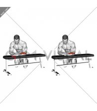 Isometric Wrist Extension (male)