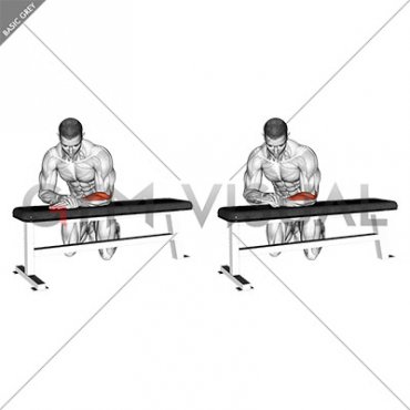 Isometric Wrist Extension (male)