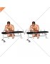 Isometric Wrist Extension (male)