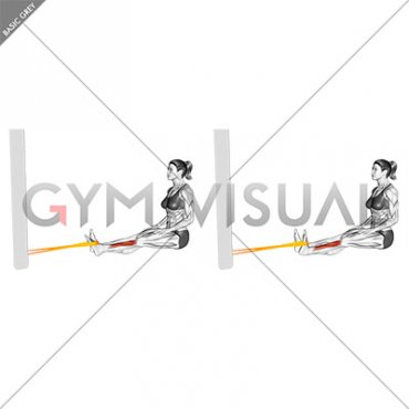 Resistance Band Sitting Floor Ankle Dorsi Flexion (female)