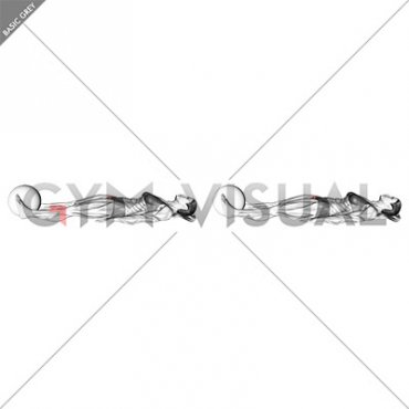 Ball Assisted Lying Supine Hip Adduction (female)