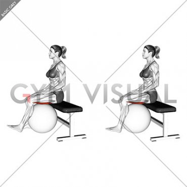 Sitting Isometric Hamstring Curl Hold with Exercise Ball (female)