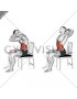 Sitting Cat Cow Stretch on a Chair (male)