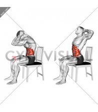 Sitting Cat Cow Stretch on a Chair (male)