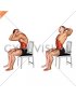 Sitting Cat Cow Stretch on a Chair (male)